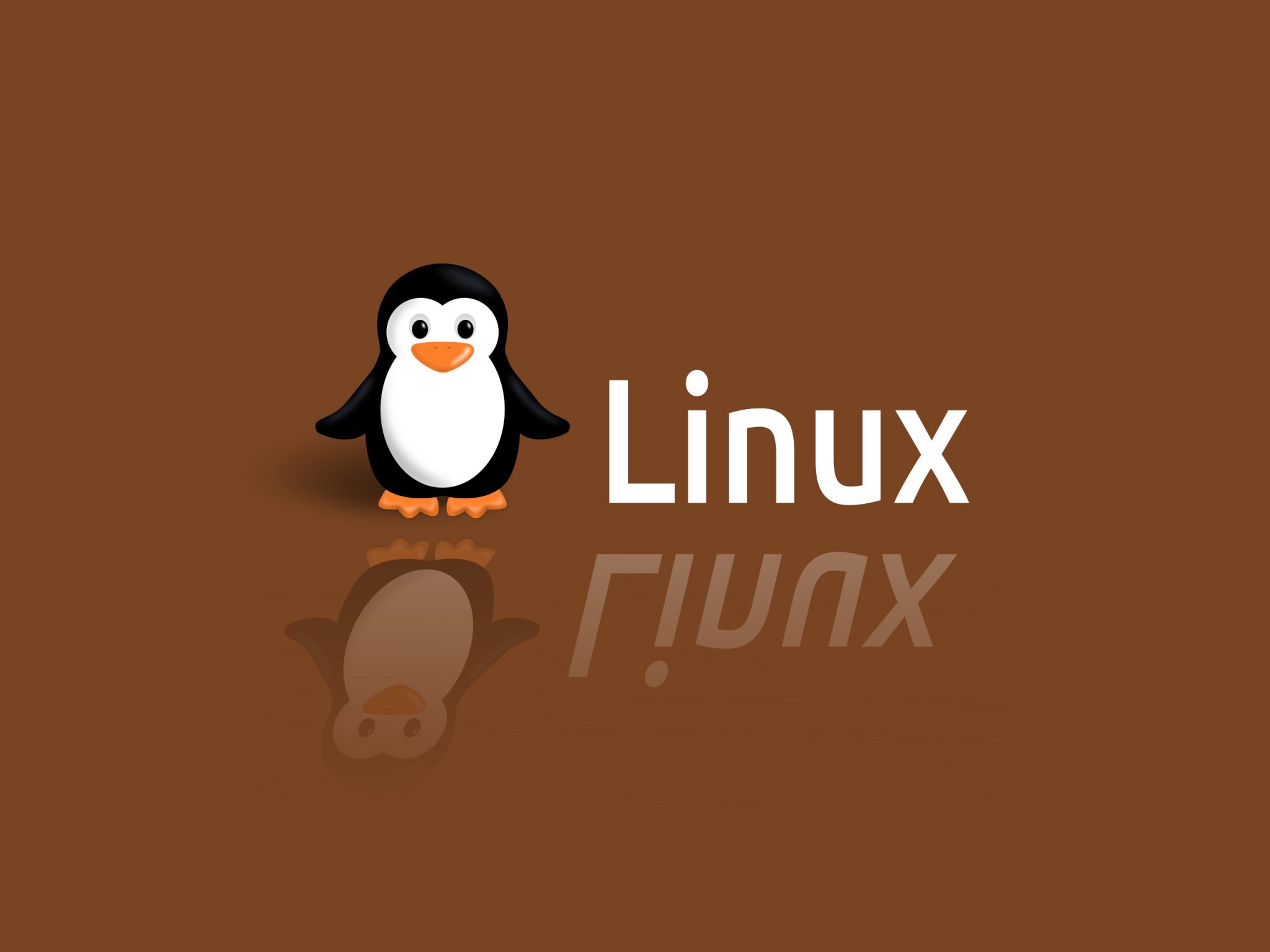 Tučňák 2048x1536. Tapeta na plochu Windows, Obrázek, wallpaper pro Linux