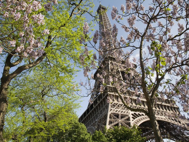 Tapeta na plochu Eifelova v v 640x480 pixel. Wallpaper, obrzek, pozad zdarma