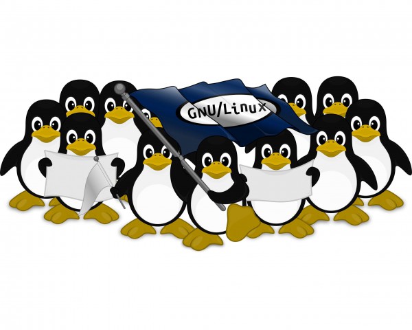 Tučňáci - pozadí na plochu operačního systému zdarma