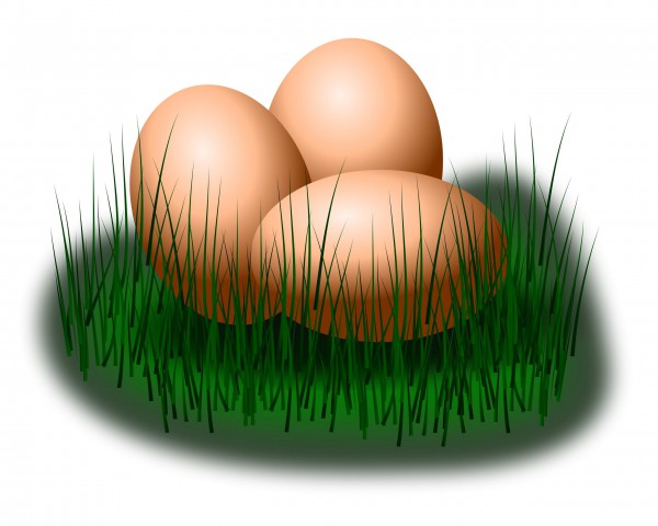 Náhled obrázku na plochu Vajíčka ke stažení zdarma